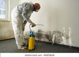 Best Mold Odor Removal Services  in Evanston, WY